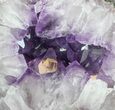 Amethyst & Calcite Geode From Brazil - lbs #34449-1